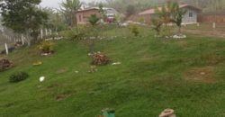 Finca en via campamento