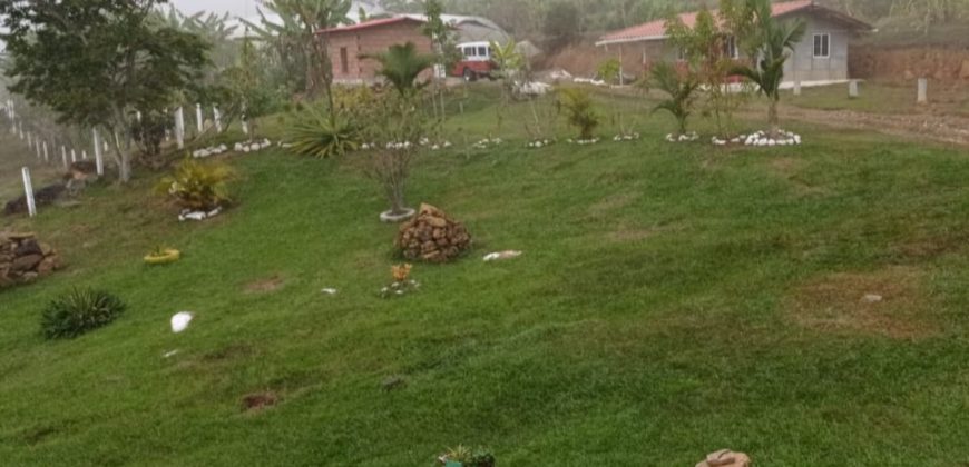 Finca en via campamento