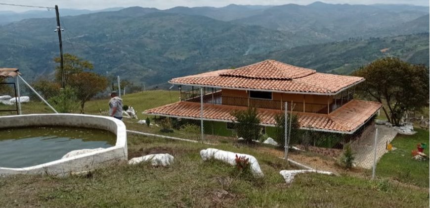 Finca en via campamento