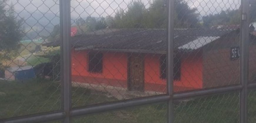 Casa en frescura