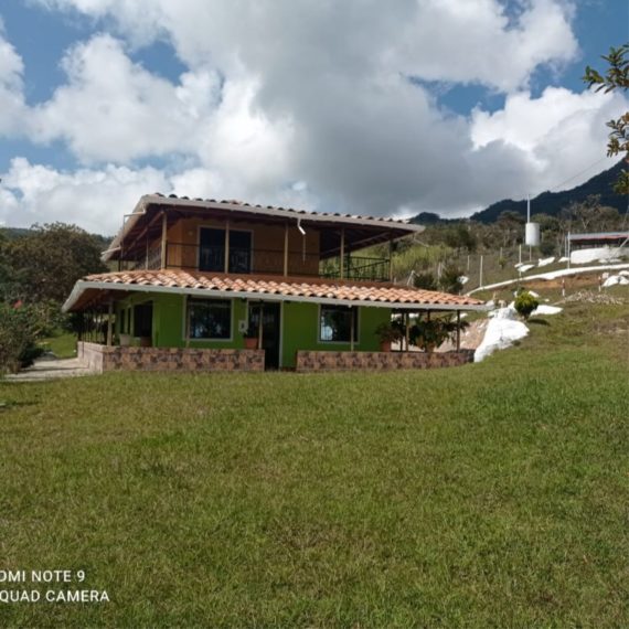 Finca