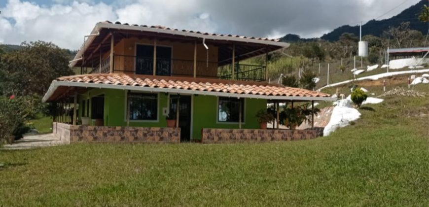 Finca en via campamento