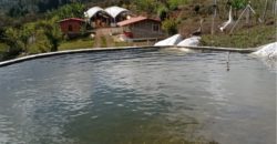 Finca en via campamento