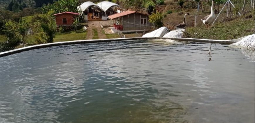 Finca en via campamento