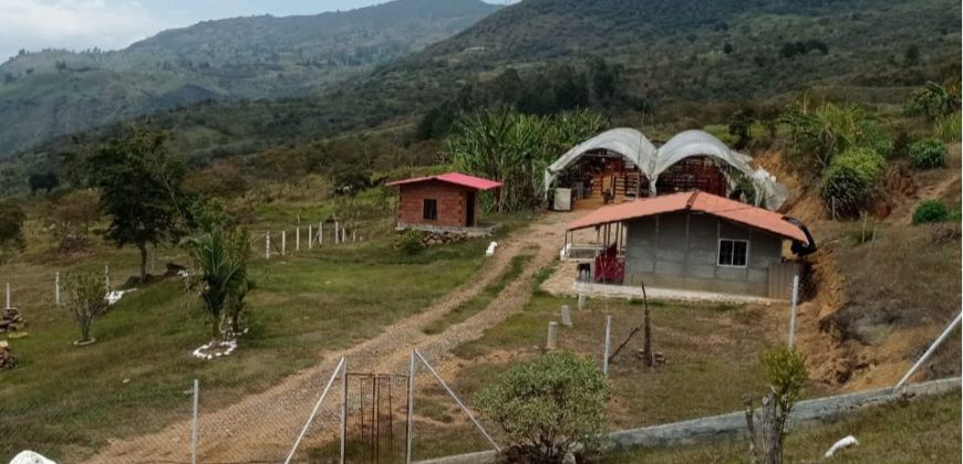 Finca en via campamento